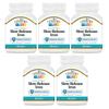 21st Century Slow Release Iron Tablets - 60 ct, Pack of 5 - Packaging May Vary view 1