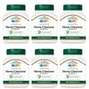 21st Century Horse Chestnut Seed Extract Vegetarian Capsules - 60 ct, Pack of 6 view 1