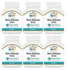 21st Century Slow Release Iron Tablets - 60 ct, Pack of 6 - Packaging May Vary view 1