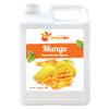BOBA2U CONCENTRATED SYRUP MANGO 5.5 LBS view 1