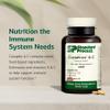 Standard Process Cataplex A-C - Supplement for Immune & Healthy Cell Support with Vitamins C & A - Aids Eye Health - Contains Ingredients with Antioxidant Activity - 180 Tablets (90 Servings) view 3