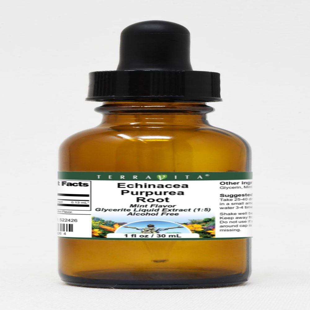 Echinacea Purpurea Root Glycerite Liquid Extract (1:5) - Mint Flavored (1 oz, ZIN: 522426)
