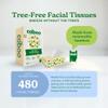 Caboo Tree Free Facial Tissue Paper, Tree Free, Eco Friendly 3 Ply Tissue Flat Box - 120 Sheets Per Box, Total of 4 Boxes, 480 Total Tissues view 2