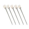 OdontoMed2011 5 Pieces Grooved Director with Probe Tip and Tongue Tie 5" Dental Instruments ODM view 1