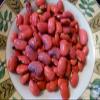 1/4 lb PINK BEANS SEEDS,Great for soups,stews,Rice dishes,refried bean , chili view 3