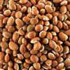 Neotea Mochai (Honey Field Bean)  250g (8.81 OZ) | High-Fiber, Natural Legume | For Healthy Cooking, Sambar, and Masala Dishes view 3