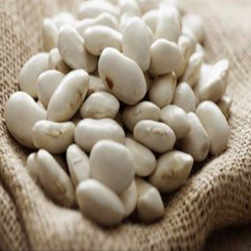 BABY LIMA BEANS- 22lb