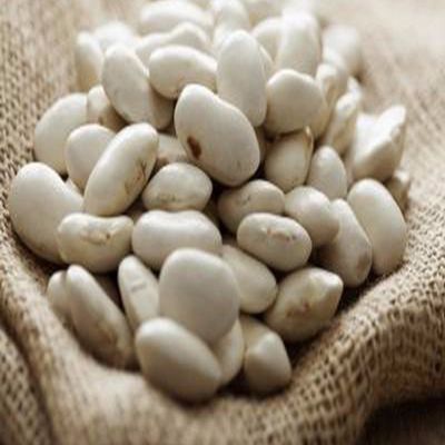 BABY LIMA BEANS- 55lb