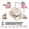 Apollon Nutrition 50/50 Formula-X | Whey Isolate and Casein Protein | 2 lb (Dutch Chocolate) view 4