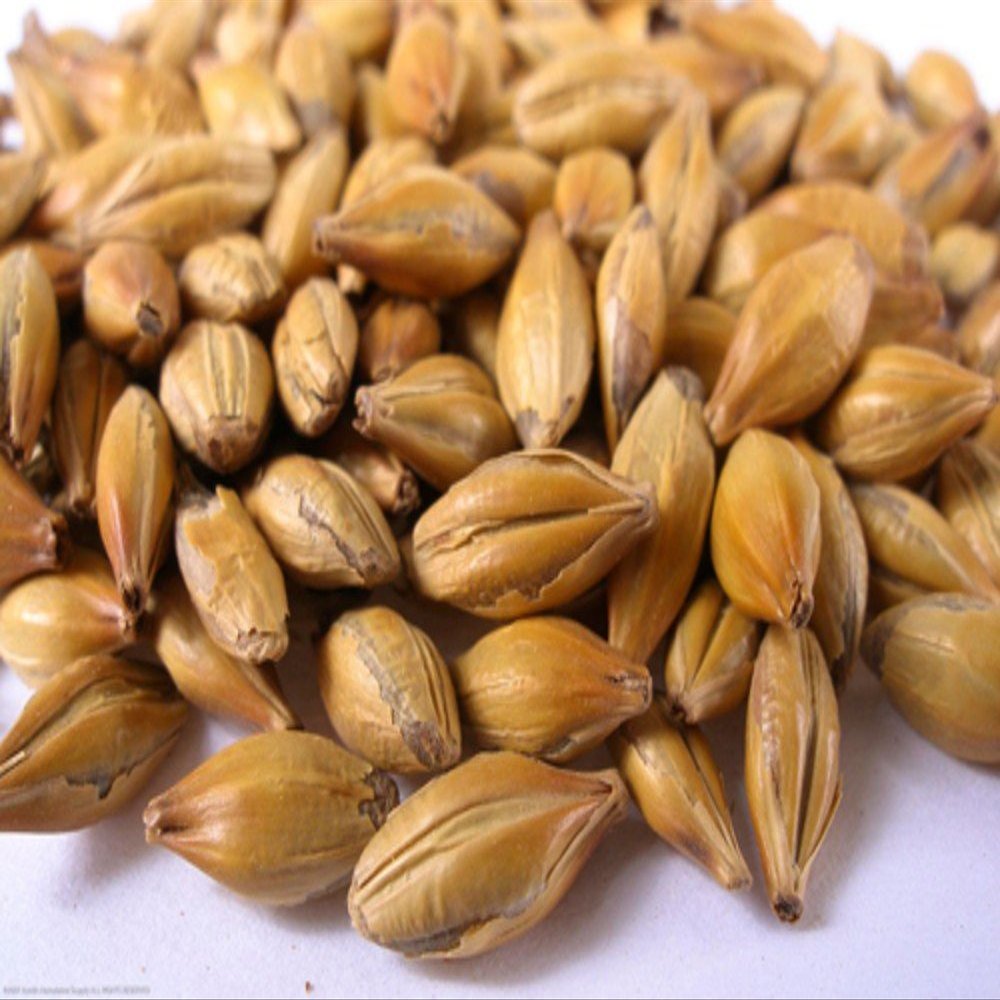 CARASTAN MALT (CARAMEL)- 55lb