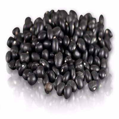 BLACK TURTLE BEANS- 49.896lb