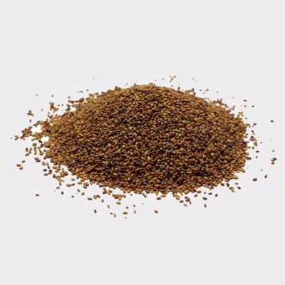 ALFALFA SEEDS- 11lb