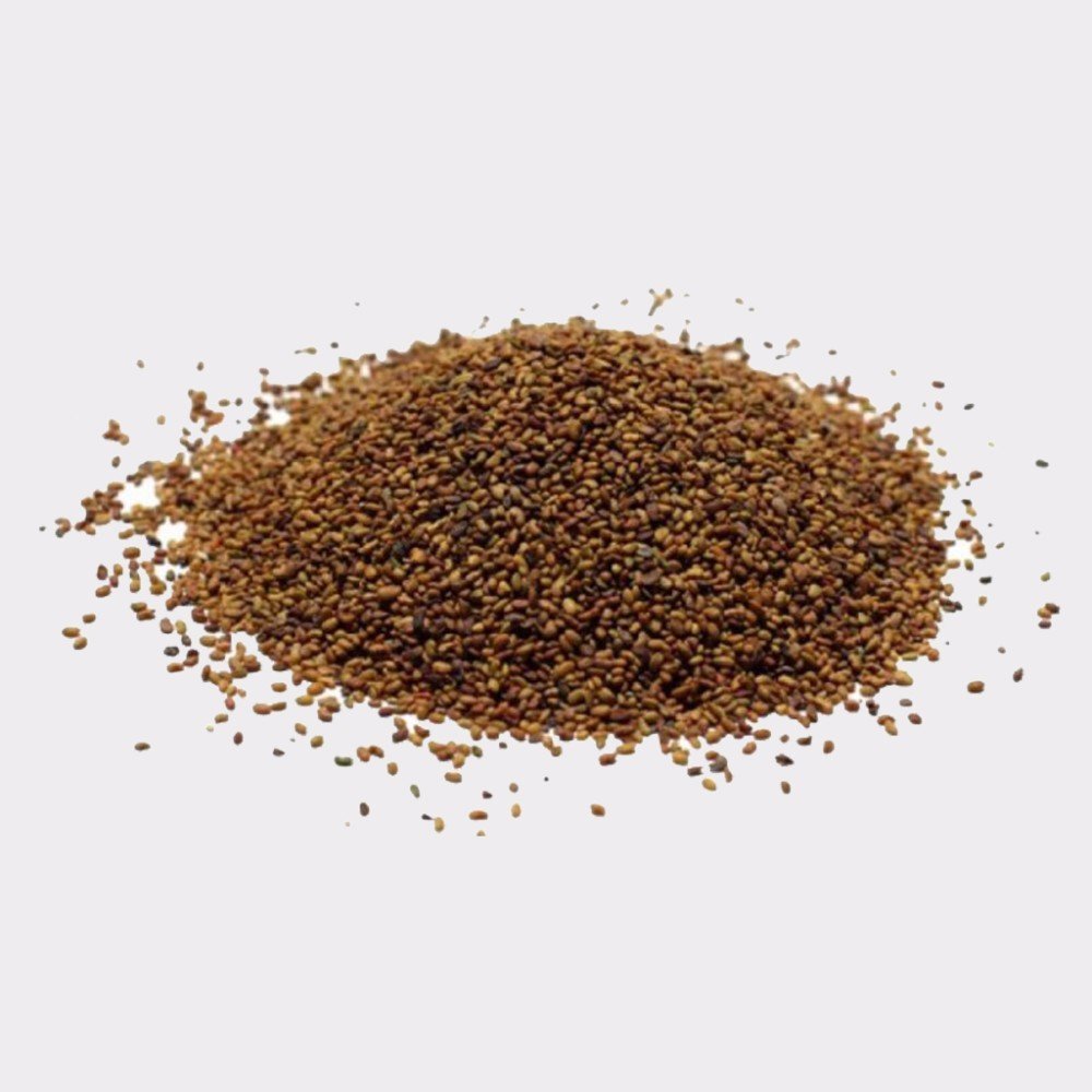 ALFALFA SEEDS- 11lb