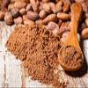 COCOA POWDER 10/12% (NATURAL)- 22lb view 1