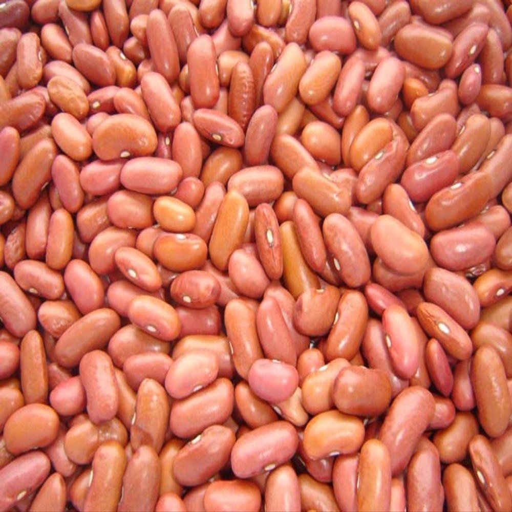 LIGHT RED KIDNEY BEANS- 22lb