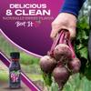 BEET IT Circulation Organic Beet Root Juice Shots - 300mg Dietary Nitrate for Heart Health Support (15 x 2.4 fl. oz.), Non-GMO, Natural Blood Pressure Support & Juice Shots view 3