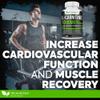 DR. MARTIN'S NUTRITION Extra Strength L-Carnitine - 200 Capsules - 1000mg Per Serving - Boost Your Metabolism and Increase Performance view 3