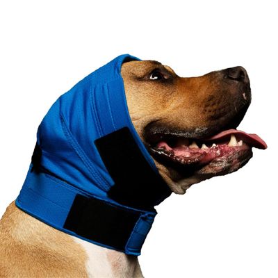 No Flap Ear Wrap (Blue Pinpoint Mesh, Medium)
