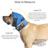 No Flap Ear Wrap (Blue Pinpoint Mesh, Medium) view 2