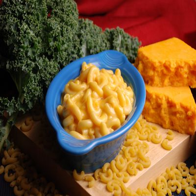 Taste Traditions Gourmet 3 Cheese Macaroni, 5 lb, (Pack of 4)