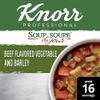 Knorr Professional Soup du Jour Beef Vegetable and Barley Soup Mix 0g Trans Fat per Serving, Just Add Water,13.9 Ounce (Pack of 4) view 4