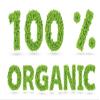 Amphora All Natural Organic Soft Dried Plums gluten free vegan kosher healthy snack prunes dried fruit, 6 Oz Each (Pack of 2) view 4
