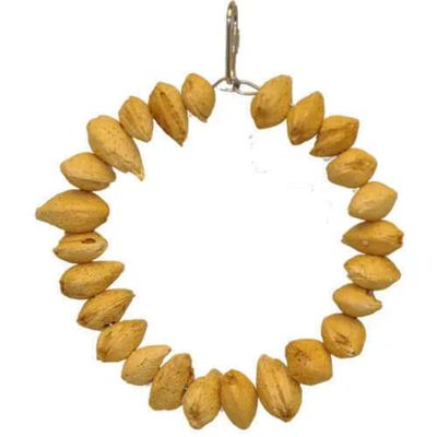 A&E Cage Co. Almond Nut Ring - 6.5" x 6.5" x 1" Almonds