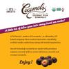 Cocomels Chocolate Vanilla Caramel Bites, Organic Candy, Dairy Free, Vegan, Gluten Free, Non-GMO, No High Fuctose Corn Syrup, Kosher, Plant Bases, (3 Pack) view 4
