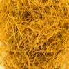 Health Embassy Cat's Claw Bark | Uncaria tomentosa | 100% Natural (50g) view 4