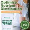 Purisure L Citrulline Malate 2:1 Powder, 1 kg, Supplement and Nitrate for Strength Performance and Energy, Pre-Workout L Arginine L Citrulline Supplement Powder, 334 Servings view 4