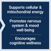 Life Extension Acetyl-L-Carnitine Arginate, Advanced Brain & Nerve Health, Cellular Energy Support, Gluten-Free, Non-GMO, 90 Capsules view 4