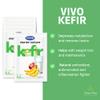 VIVO Kefir Starter (5 boxes) Makes up to 30 quarts of kefir view 2