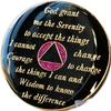 21 Year AA Medallion Glitter Pink Tri-Plate Chip XXI view 2