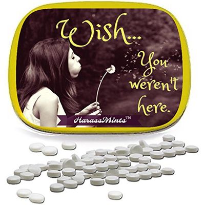 Wish You Werent Here Mints Dandelion wish design mint tin novelty candy for women Wintergreen, Sugar-free
