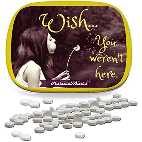 Wish You Werent Here Mints Dandelion wish design mint tin novelty candy for women Wintergreen, Sugar-free
