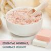 Pride Of India - Dark Himalayan Pink Salt - Enriched w/ 84+ Natural Minerals, Medium Grind 2-3mm - 1 Pound (16 oz) Dual Sifting Jar - Great for Grinders & Direct Use - Best for Kitchens & Restaurants view 3