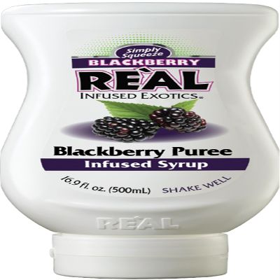 BLACKBERRY REL, Blackberry Puree Infused Syrup, 16.9 FL OZ Squeezable Bottle (Pack of 1)