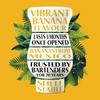 BANANA REL, Banana Puree Infused Syrup, 16.9 FL OZ Squeezable Bottle (Pack of 1) view 2