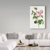 Rosa Centifolia by Pierre-Joseph Redoute, 16x24-Inch view 3