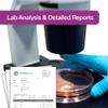 Mold Test Kit for Home - Professional Lab Analysis and Expert Consultation Included- Protect Your Home & Family (7 Room/Plate) view 4