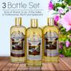3 Bottle Set of Holy Land Treasures Anointing Oils, Biblical Oils with Lily of the Valleys, Rose of Sharon, Frankincense, Myrrh, and Spikenard, Anointing Oils from the Holy Land. 8.45 fl.oz | 250 ml view 2