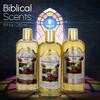 3 Bottle Set of Holy Land Treasures Anointing Oils, Biblical Oils with Lily of the Valleys, Rose of Sharon, Frankincense, Myrrh, and Spikenard, Anointing Oils from the Holy Land. 8.45 fl.oz | 250 ml view 3