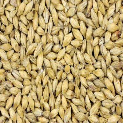 Briess American 2 Row Malted Barley (Whole Grain)