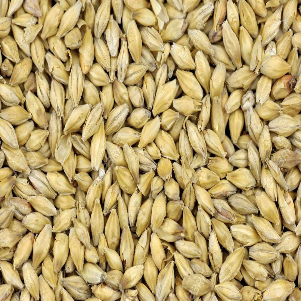 Briess American 2 Row Malted Barley (Whole Grain)