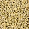 Briess American 2 Row Malted Barley (Whole Grain)