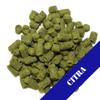 HopUnion CF-FTJC-41RO Citra Pellet Hops 1 oz. view 1
