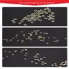 (1000pcs) Rimless Glasses nut Hexagon nut Eyeglasses nut Eyewear Repair nut for Glasses Shop by dhoptical (2.5 * 1.4) view 3