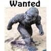 1/4 Sheet - Bigfoot Yeti Wanted Birthday - Edible Cake/Cupcake Party Topper - D22988 view 1
