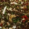 Spirits & Spice Chimichurri view 2