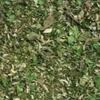 Spirits & Spice Herbes de Provence view 2